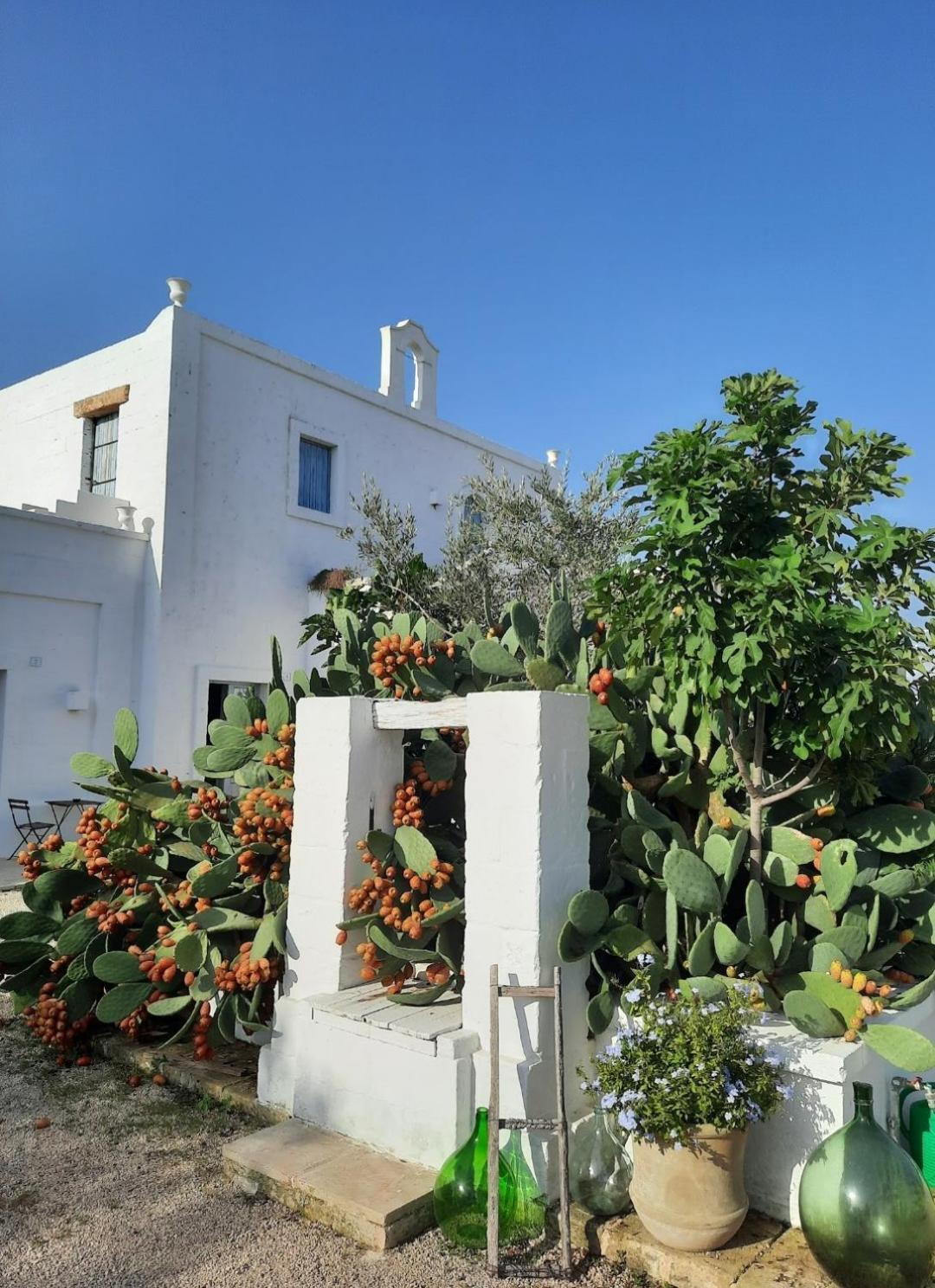 Masseria Fulcignano Galatone Exterior foto